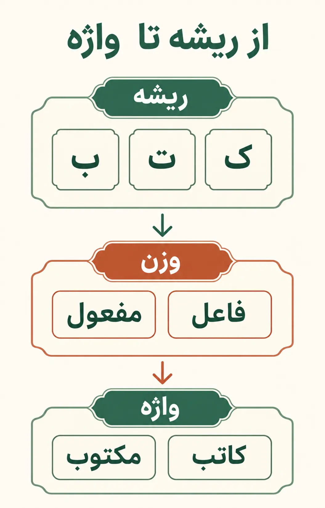 ریشه، وزن و صیغه چگونه با هم کار می‌کنند؟