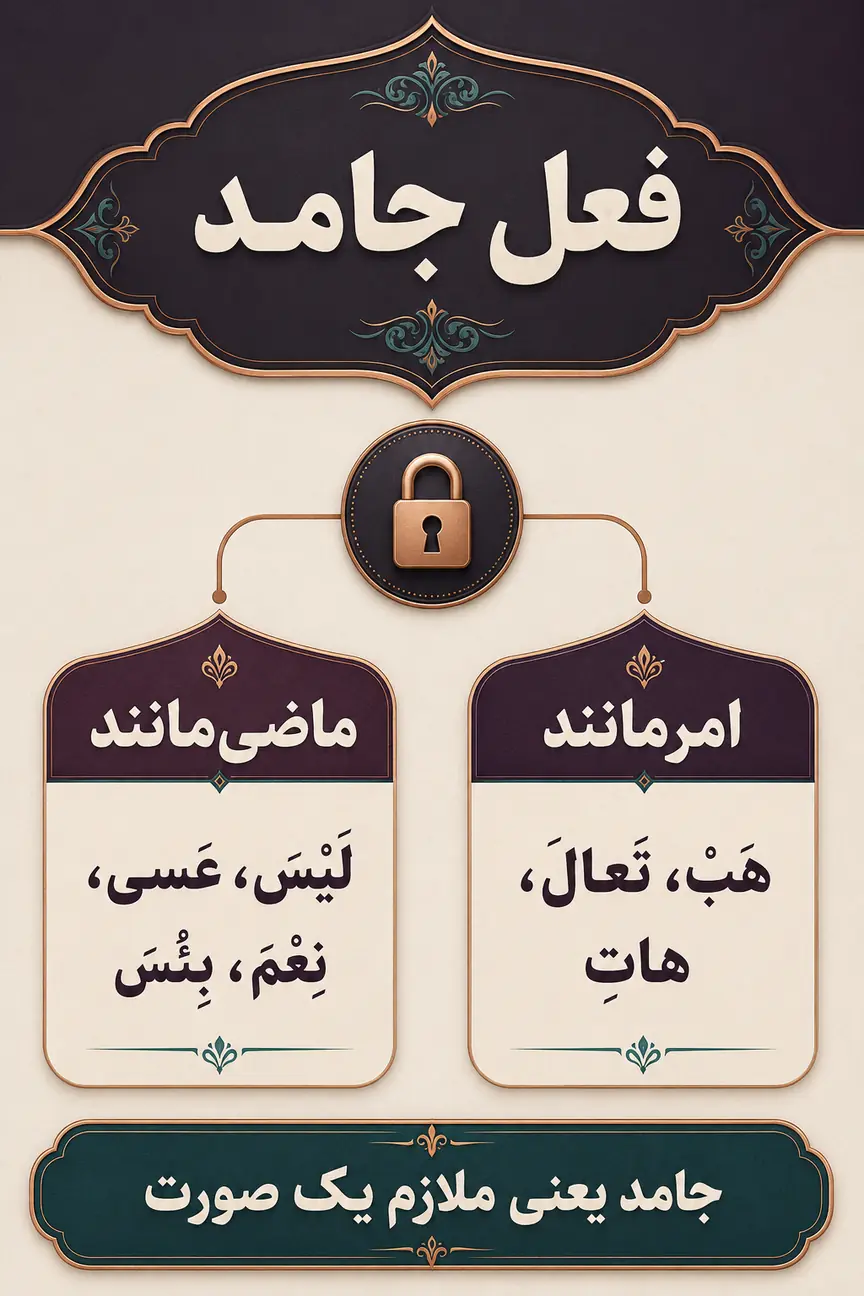 فعل جامد چیست و کدام صورت را حفظ می‌کند؟
