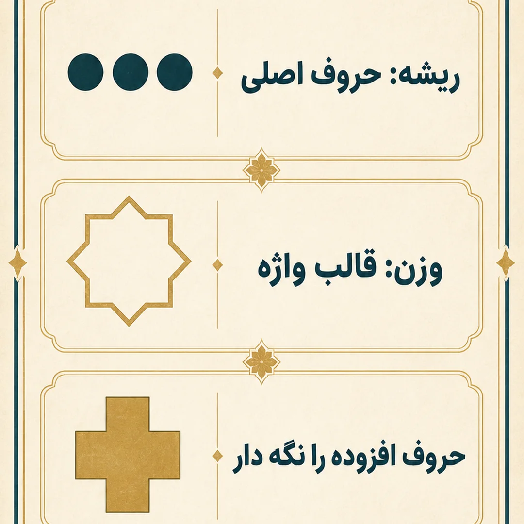 تمرینهای ۱ تا ۳۰؛ ریشه و وزن تمرینهای ۱ تا ۳۰؛ ریشه و وزن