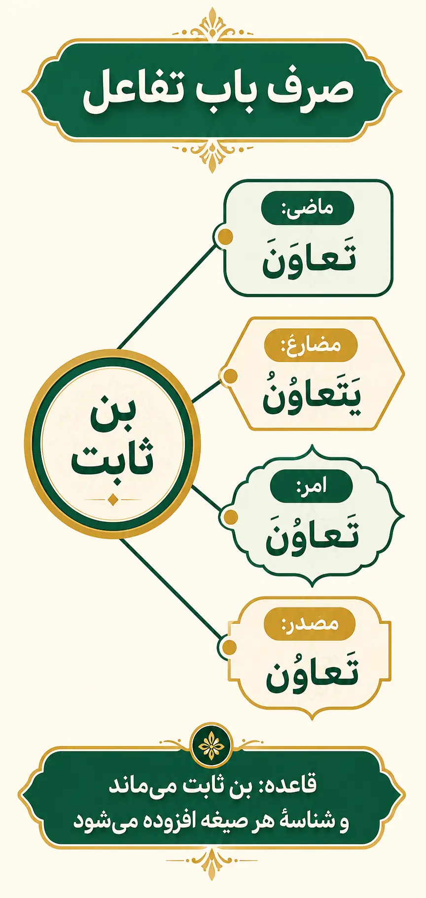 صرف کامل باب تفاعل در چهارده صیغه